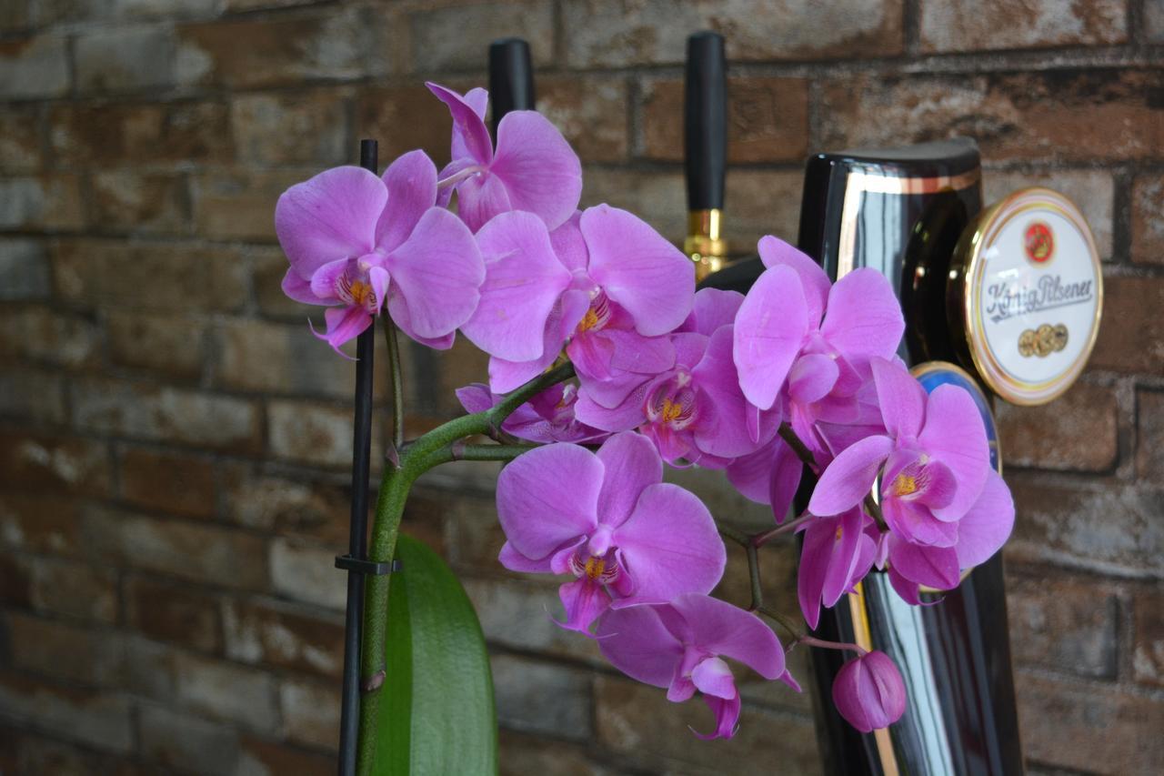 Millennium Rabati Hotel อาคัลท์ชิกเค ภายนอก รูปภาพ